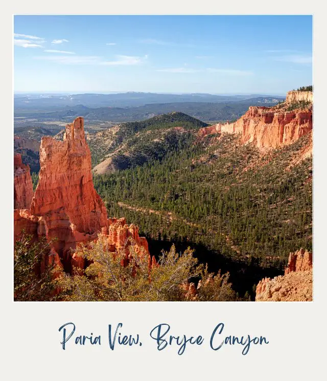 Aerial view of rock mountains and trees in Paria View Bryce Canyon,