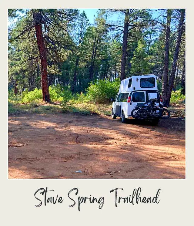 A photo of a camper van with a bike mounted on the back, parked on an open forest pathway surrounded by tall pine trees at Stave Spring Trailhead, Zion National Park.