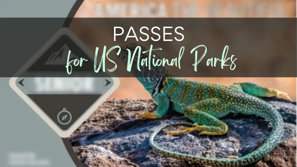 Passes for US national parks