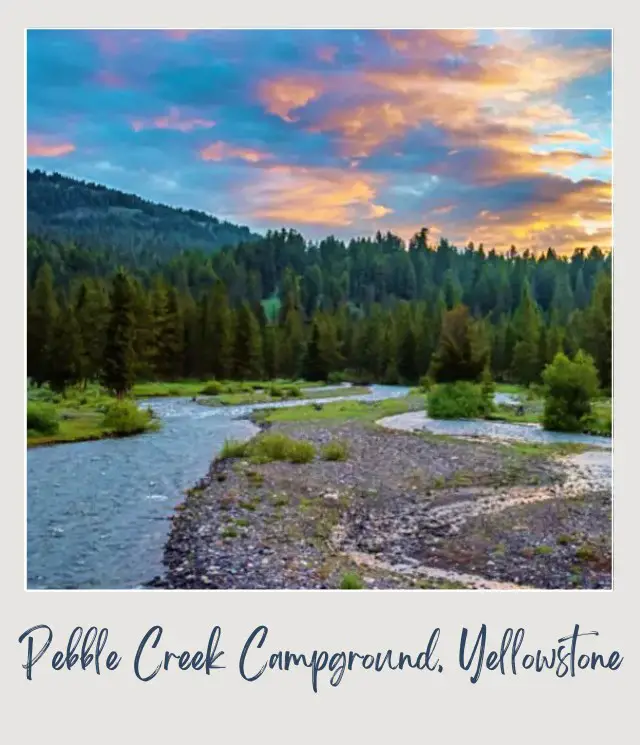 The Best Camping in Yellowstone National Park: Complete Guide Pebble Creek Campground in Yellowstone National Park