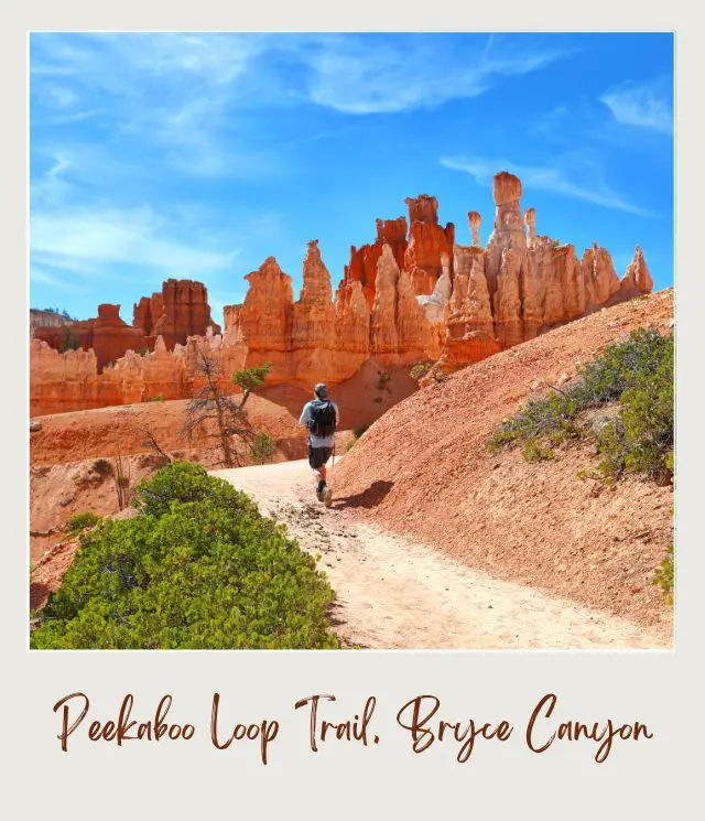 A man walking on the trail, and behind are huge hoodoos in Bryce Canyon National Park.