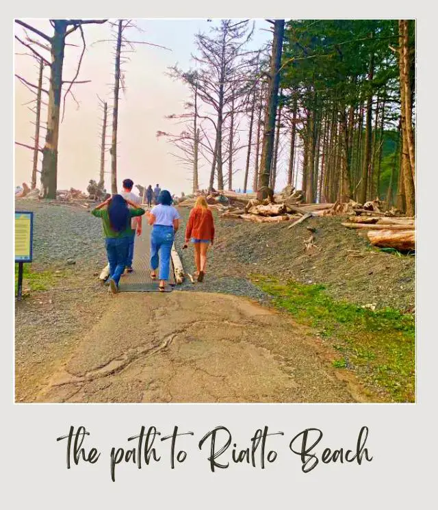 Rialto Beach - Hole in the Wall, Olympic National Park: Complete Guide Signage beside the people walking through the road surrounded by driftwood and besides are forest in Rialto Beach, Olympic National Park.