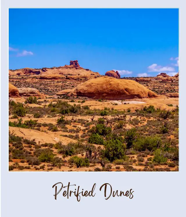 View of rock mountains, dead trees, and bushes in Arches National Park.