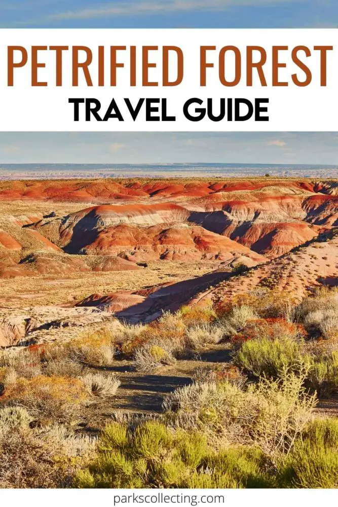 Petrified Forest National Park Guide rounded hills with stripes of red and white and small shrubs in foreground with text: Petrified Forest Travel Guide