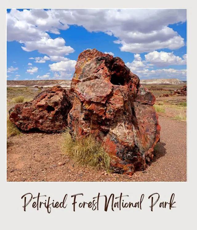 Petrified Logs Petrified Forest National Park