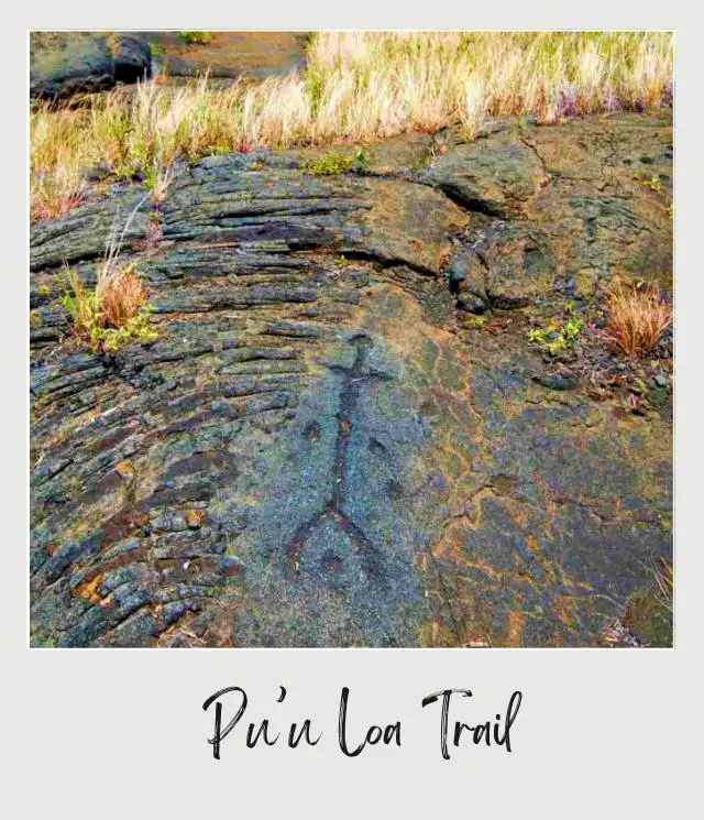 The Best Winter Hikes in the US National Parks Petroglyphs in Puu Loa Trail Volcanoes National Park
