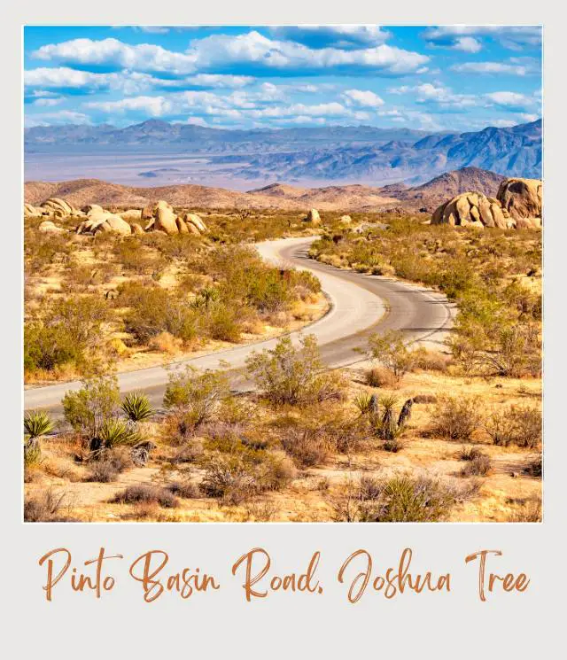 The Most Scenic Drives in America (National Parks Edition) Pinto Basin Road in Joshua Tree National Park