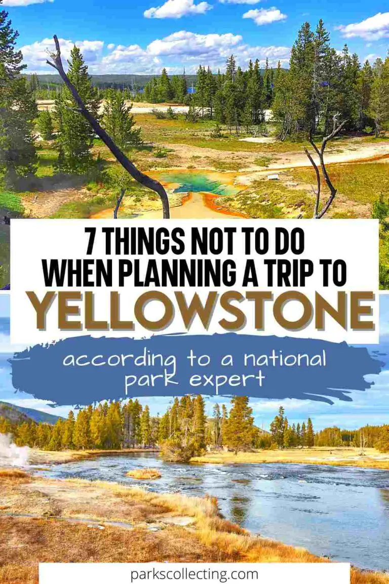 Planning A Trip To Yellowstone National Park: 7 Mistakes To Avoid 2024