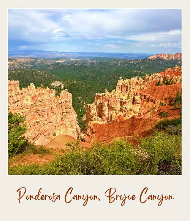 Aerial view of hoodoos and trees in Ponderosa Canyon Bryce Canyon.