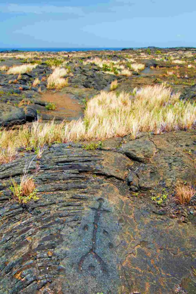 Pu u Loa petroglyphs Volcano National Park Hawaii