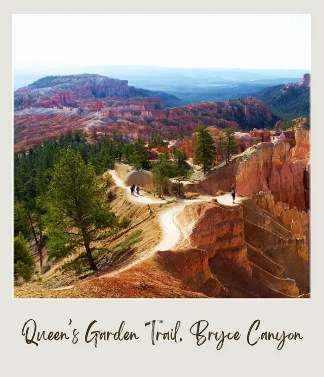 Rock mountains and hoodoos surrounded by trees in Bryce Canyon National Park.