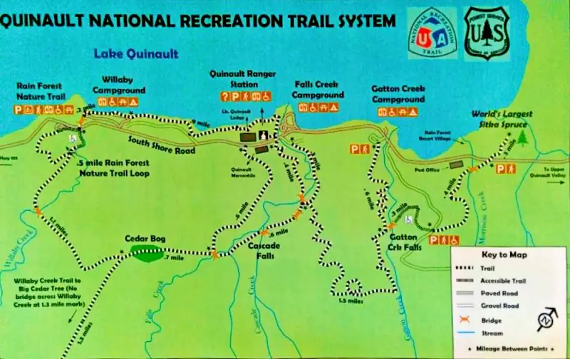 Colored image of Quinault National Forest Trail System Map