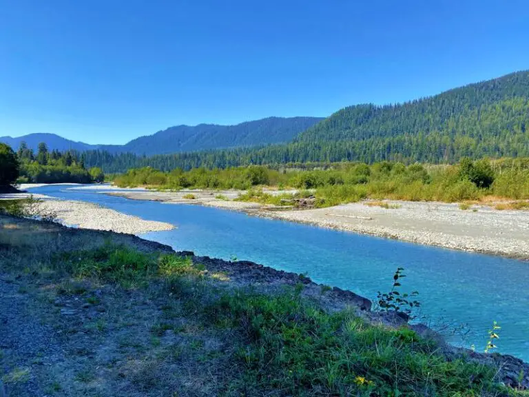 Lake Quinault Loop Drive A Complete Guide For First Time Visitors