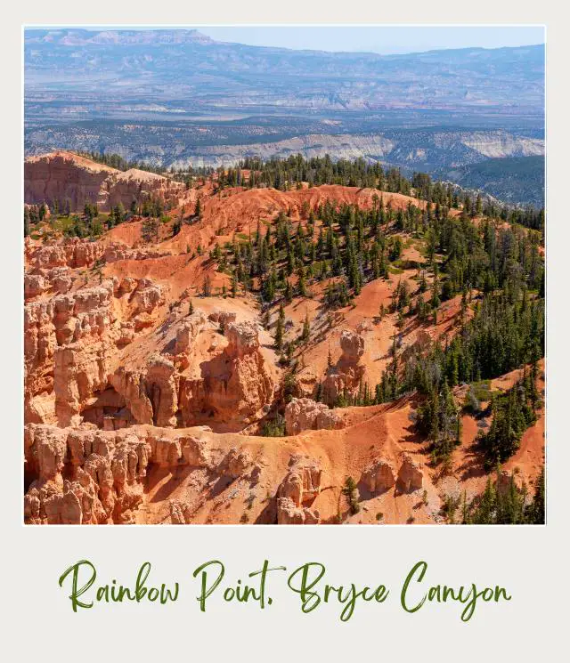 Aerial view of rock mountains and trees in Rainbow Point Bryce Canyon National Park.