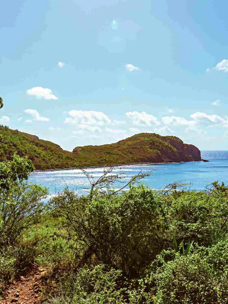 Ram Head Trail US Virgin Islands