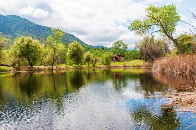 Best Airbnb Sequoia National Park Ranch Living Airbnb Sequoia National Park
