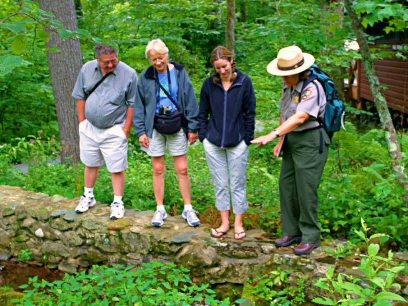 Three people listening to a woman wearing a ranger uniform surrounded by trees and plants in Shenandoah National Park