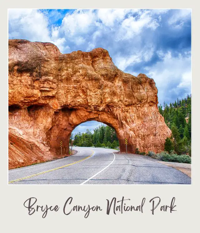 A concrete road passes through huge red rocks in Bryce Canyon National Park, and behind are mountains of trees.