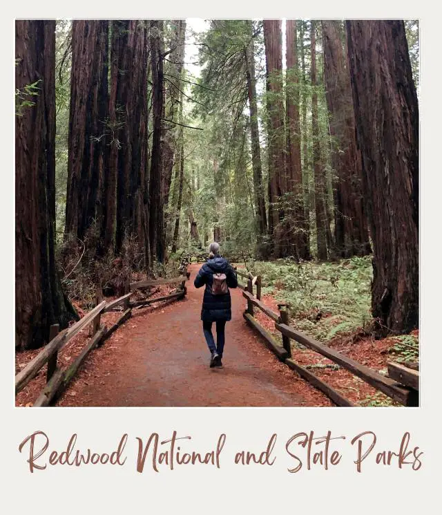 Redwood National and State Parks