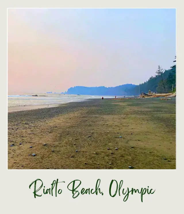 Rialto Beach - Hole in the Wall, Olympic National Park: Complete Guide Ocean and beside are driftwoods and forest in Rialto Beach, Olympic National Park.