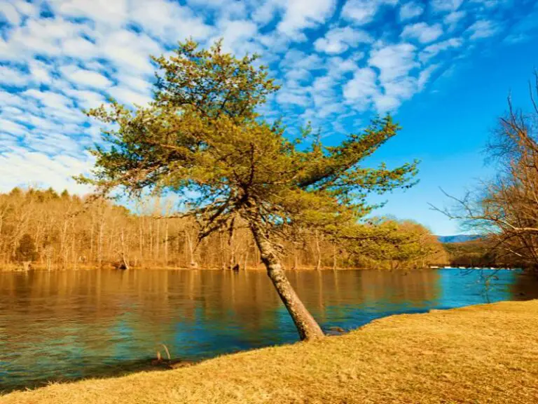 The Best Airports Near Great Smoky Mountains National Park