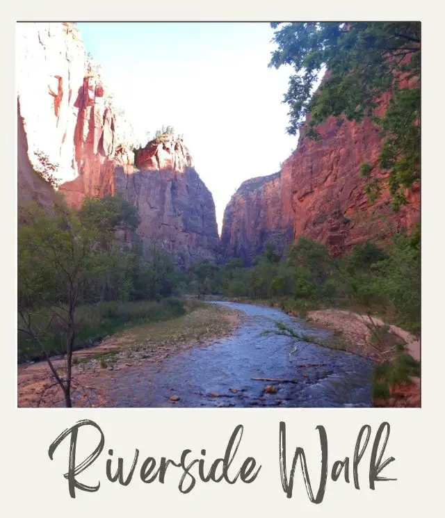 The 5 Best Easy Hikes in Zion National Park calm narrow river with sandstone cliffs on both sides and a narrow path on the right side next tot he river which is the Riverside Walk in Zion National park