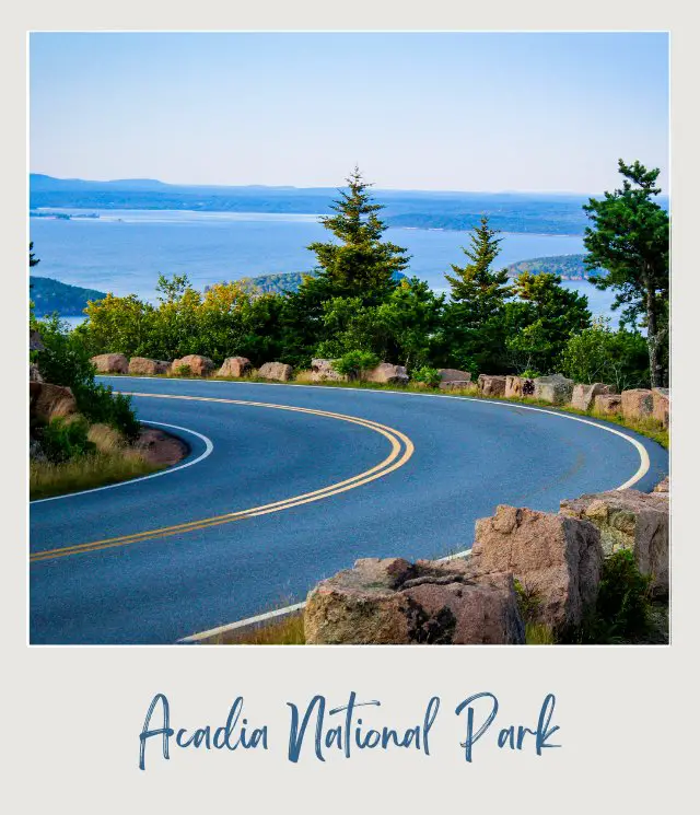 Bended road surrounded by trees on the Park Loop Drive in Acadia National Park