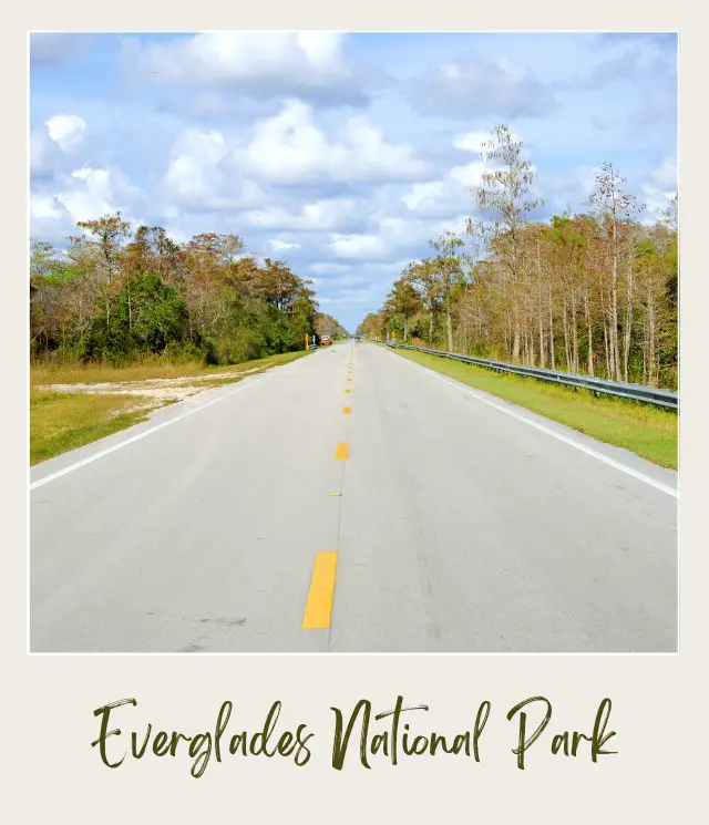 Road in Everglades National Park