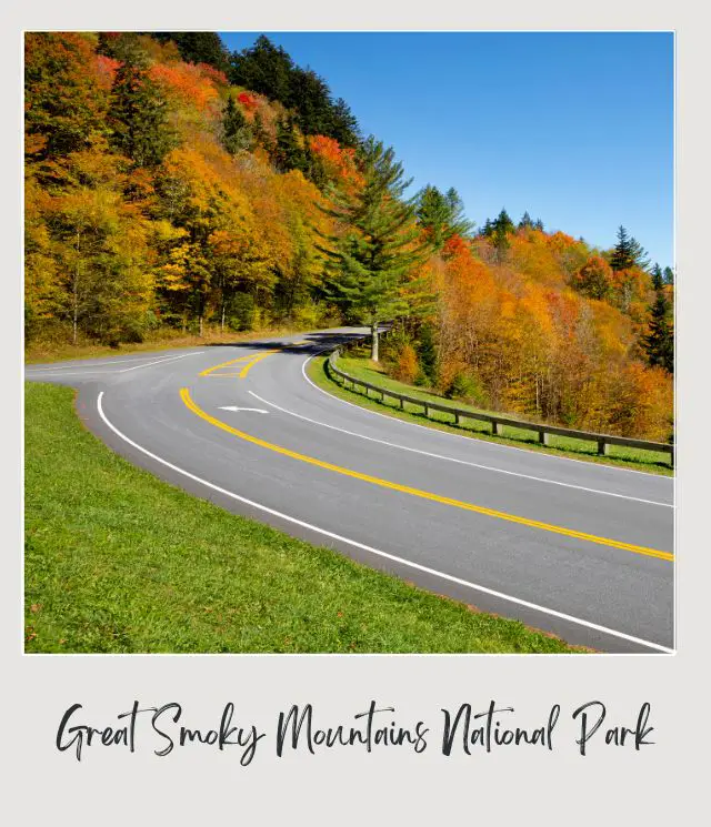 Highway with a yellow line in the middle surrounded by colorful trees in Great Smoky Mountains National Park.