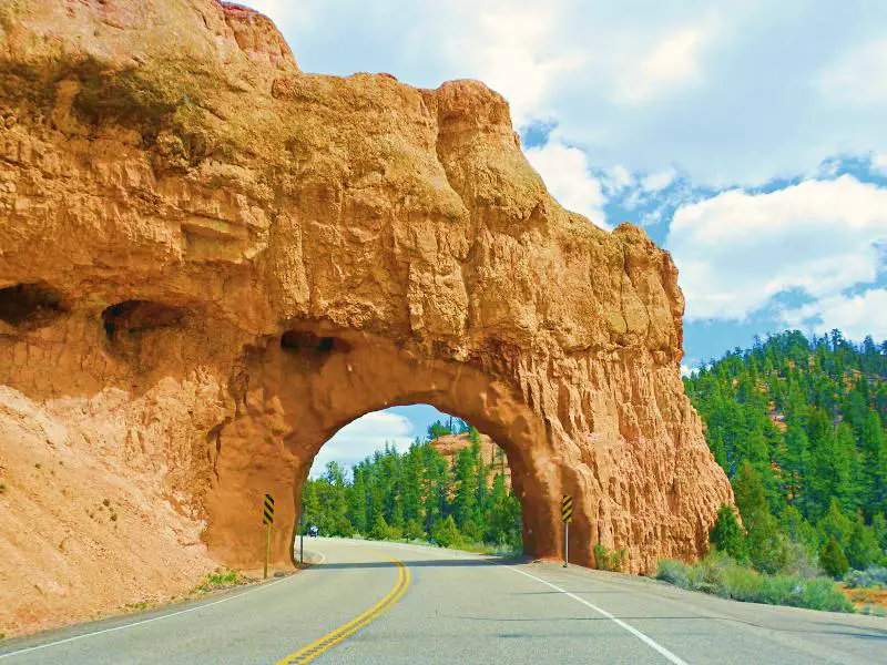 A concrete road passes through huge red rocks in Bryce Canyon National Park, and behind are mountains of trees.