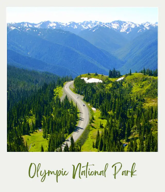 Road to Hurricane Ridge in Olympic National Park