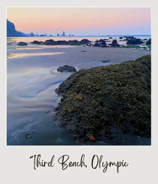 Third Beach, La Push: Complete Guide Mossy rocks in Third Beach Olympic National Park.