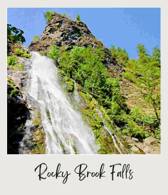 Water flowing in rocks from above surrounded by trees in Olympic National Park