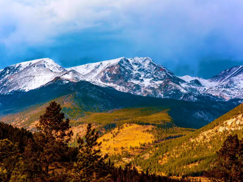Snow-capped mountains, and below are mountains of trees in Rocky Mountain National Park.