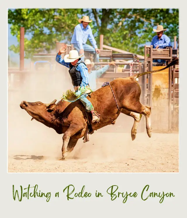 Three cowboys watching a man riding a bull in the middle of an arena in Bryce Canyon