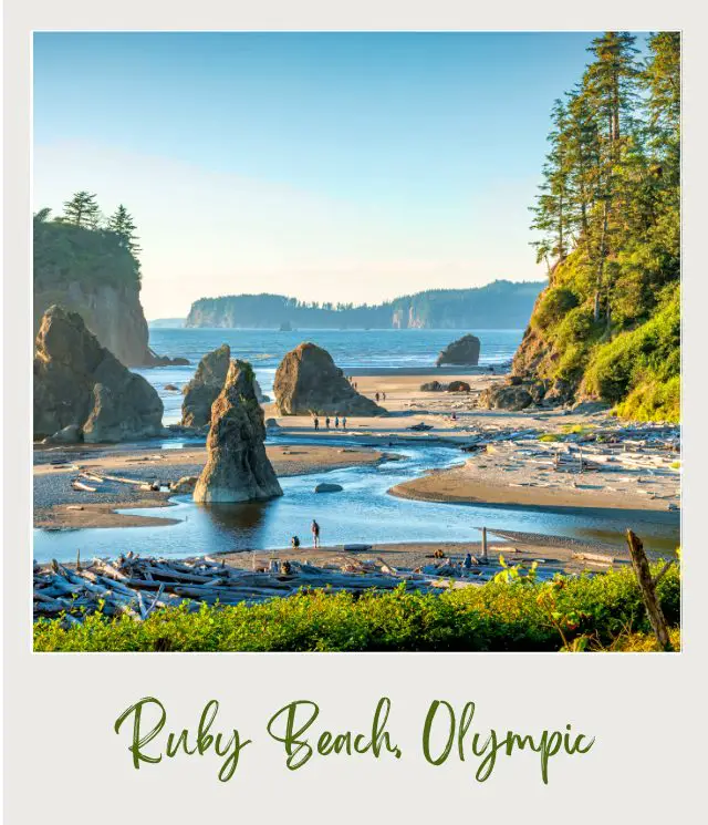 Ruby Beach Olympic National Park 1