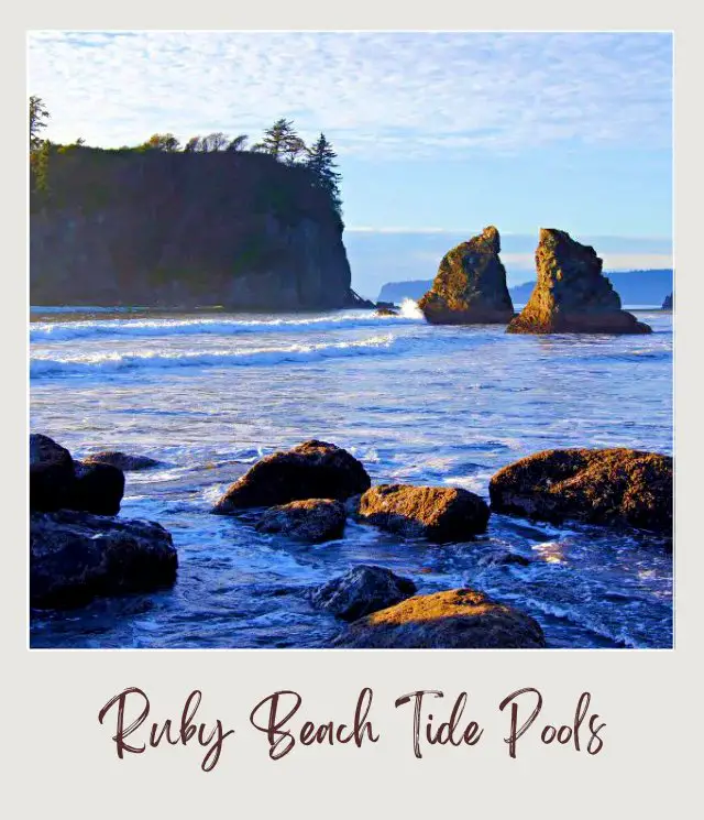 Best Tide Pools Olympic National Park: Complete Guide for First Time Visitors Iconic rock formations in the waters of Olympic National Park. Some trees and plants grows on top of the rock.