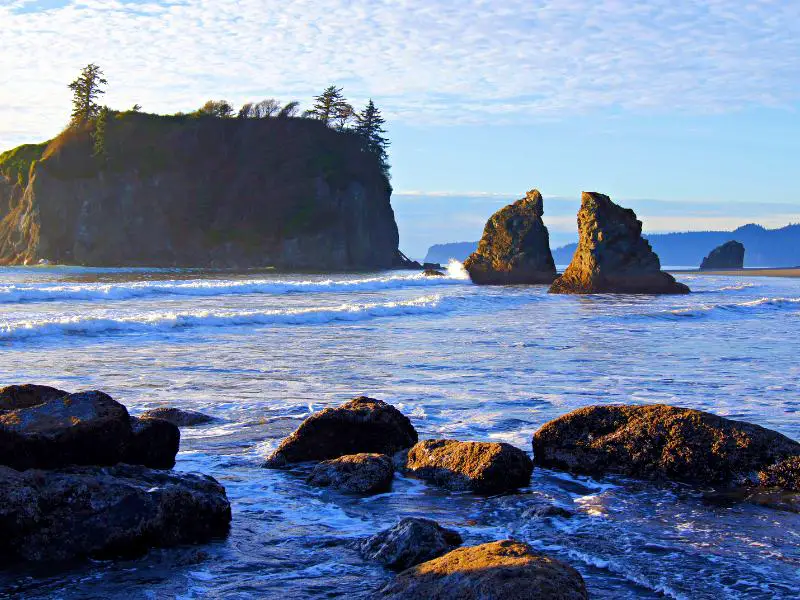 Iconic rock formations in the waters of Olympic National Park. Some trees and plants grows on top of the rock.