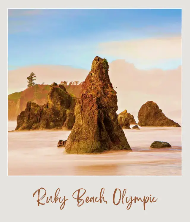 The 10 Best Olympic National Park Beaches View of sea stacks in Ruby Beach Olympic National Park