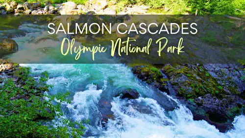 View of flowing river surrounded by stones and plants, with the text, Salmon Cascades Olympic National Park.