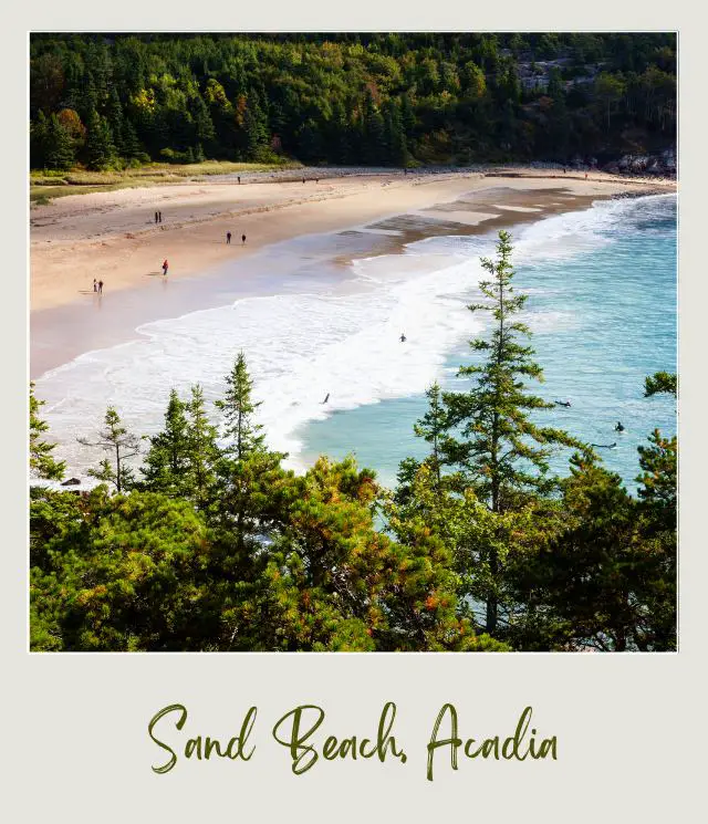 People in the side of the beach of the blue ocean and behind are trees no Sand Beach in Acadia National Park