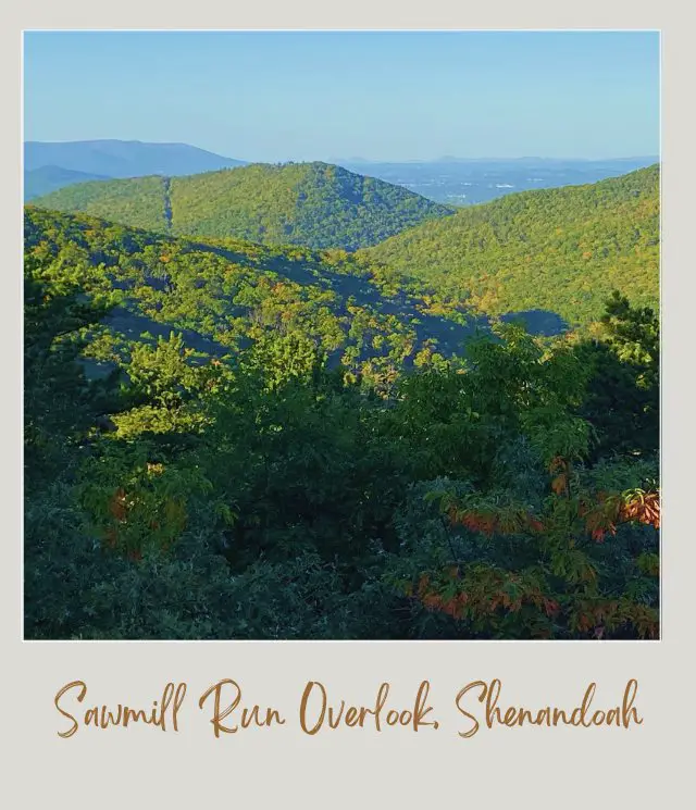 25 Best Overlooks on Skyline Drive Sawmill Run Overlook Shenandoah National Park
