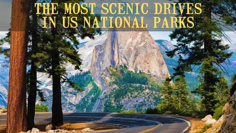 Scenic Drives in National Park