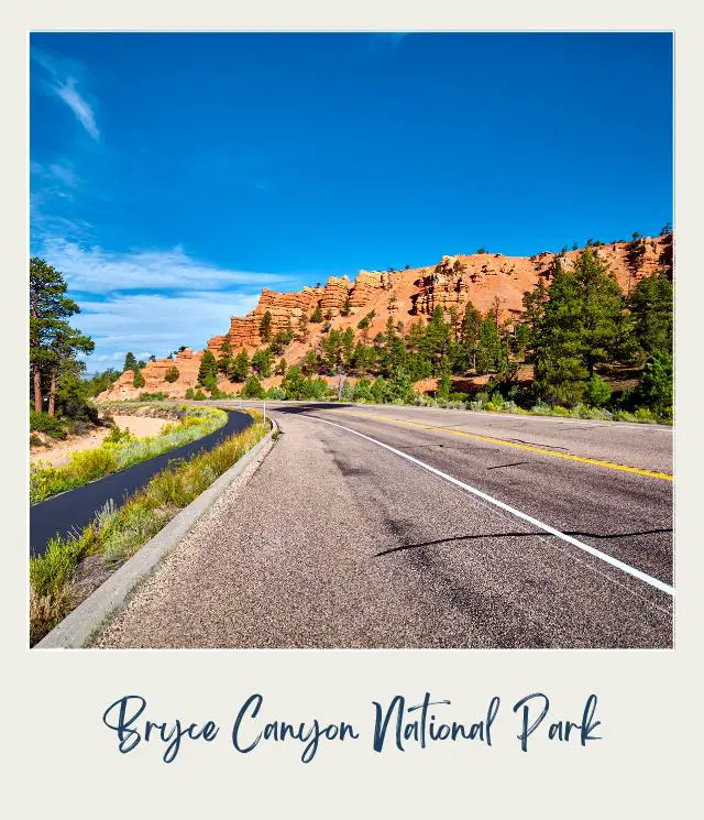 Huge rock formations surrounded by trees and bushes beside the road in Bryce Canyon National Park