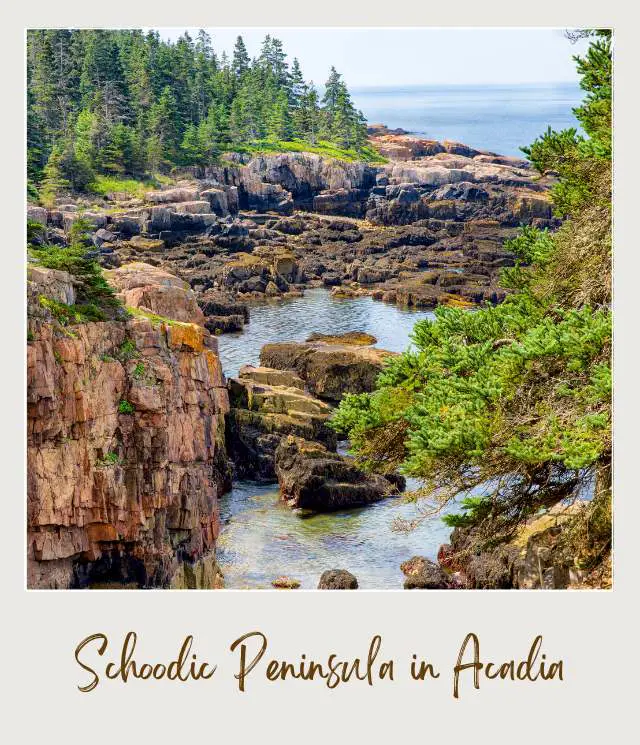 View of rock mountains and trees beside the ocean in Schoodic Peninsula in Acadia National Park.