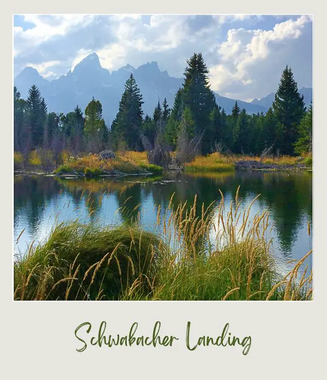 Mountains and trees surrounding the lake in Grand Teton National Park.