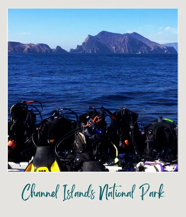 Gears and equipment for scuba diving in Channel Islands National Park.