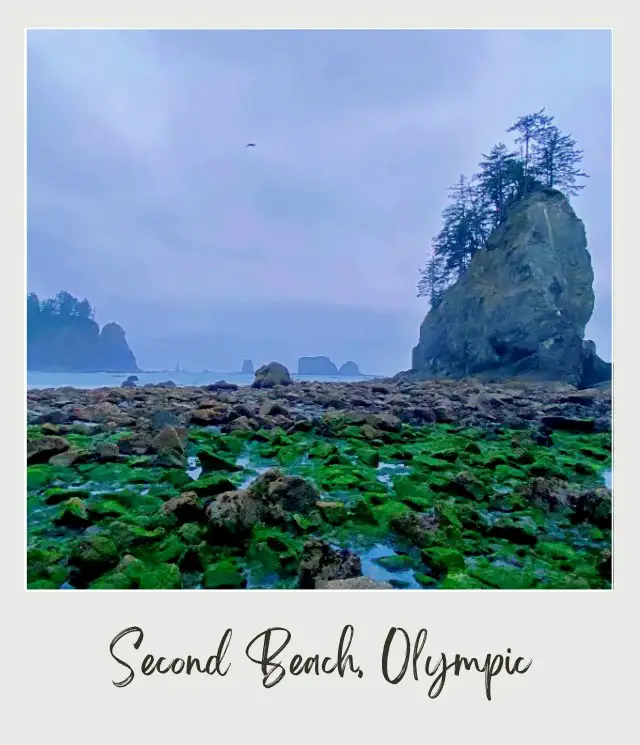 La Push Second Beach, Washington State: Complete Guide Iconic rock formation surrounding the beach of Olympic National Park.