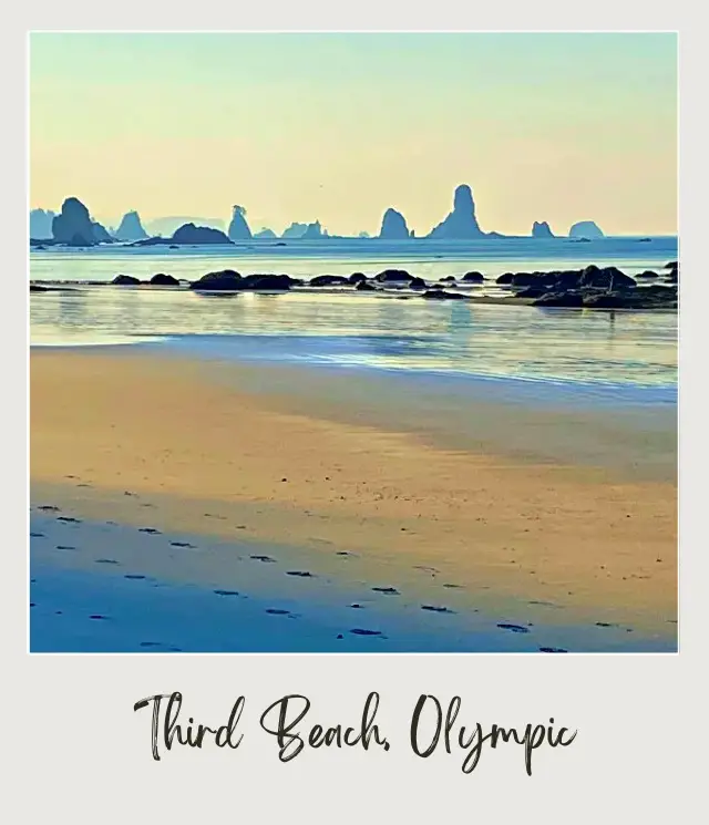 Third Beach, La Push: Complete Guide Sea stacks and rocks in Third Beach Olympic National Park.