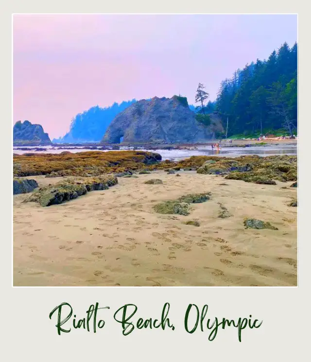 Rialto Beach - Hole in the Wall, Olympic National Park: Complete Guide Rocks surround the ocean and people stand in the middle and beside is a forest tree.